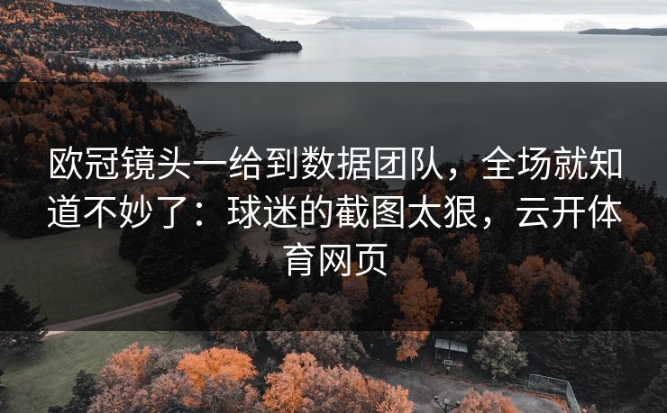 欧冠镜头一给到数据团队，全场就知道不妙了：球迷的截图太狠，云开体育网页